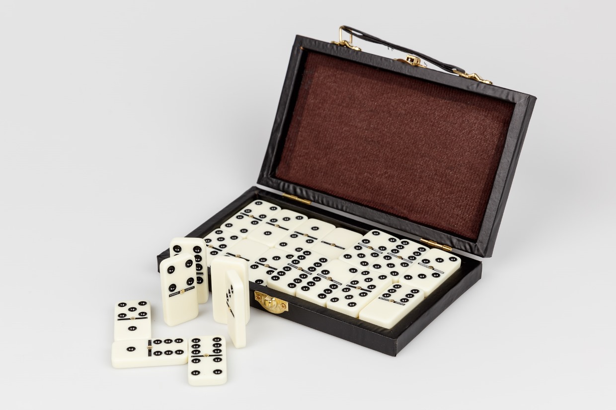 Domino, 5 x 2.5 cm, tactile, contrasté